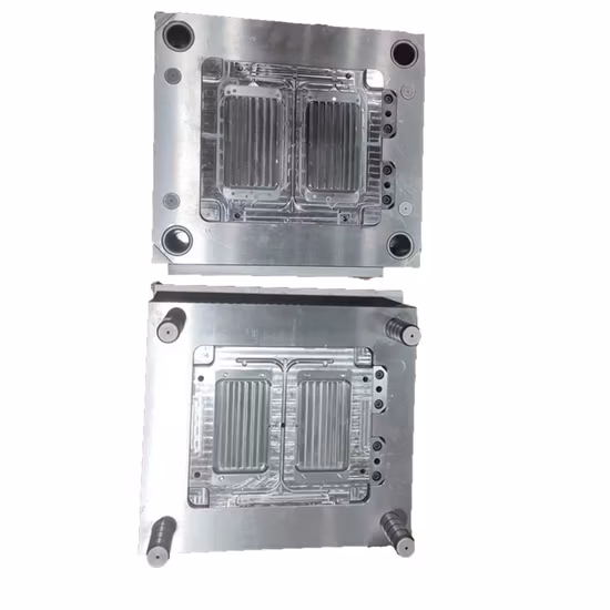 Factory Injection Mould Tooling Manufacturing Professional Mould Plastic Auto Lamp Mold